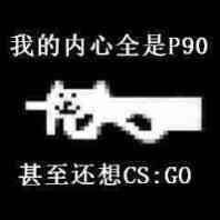 csgo表情包大全 最火的CSGO表情