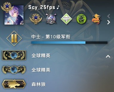 CSGO帧数提升优化指南，csgo帧数提高30%（4000h官匹全球精英，完美S的csgo终级の方案