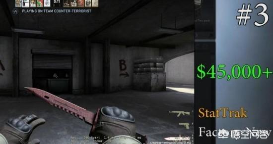 CSGO什么东西最贵？